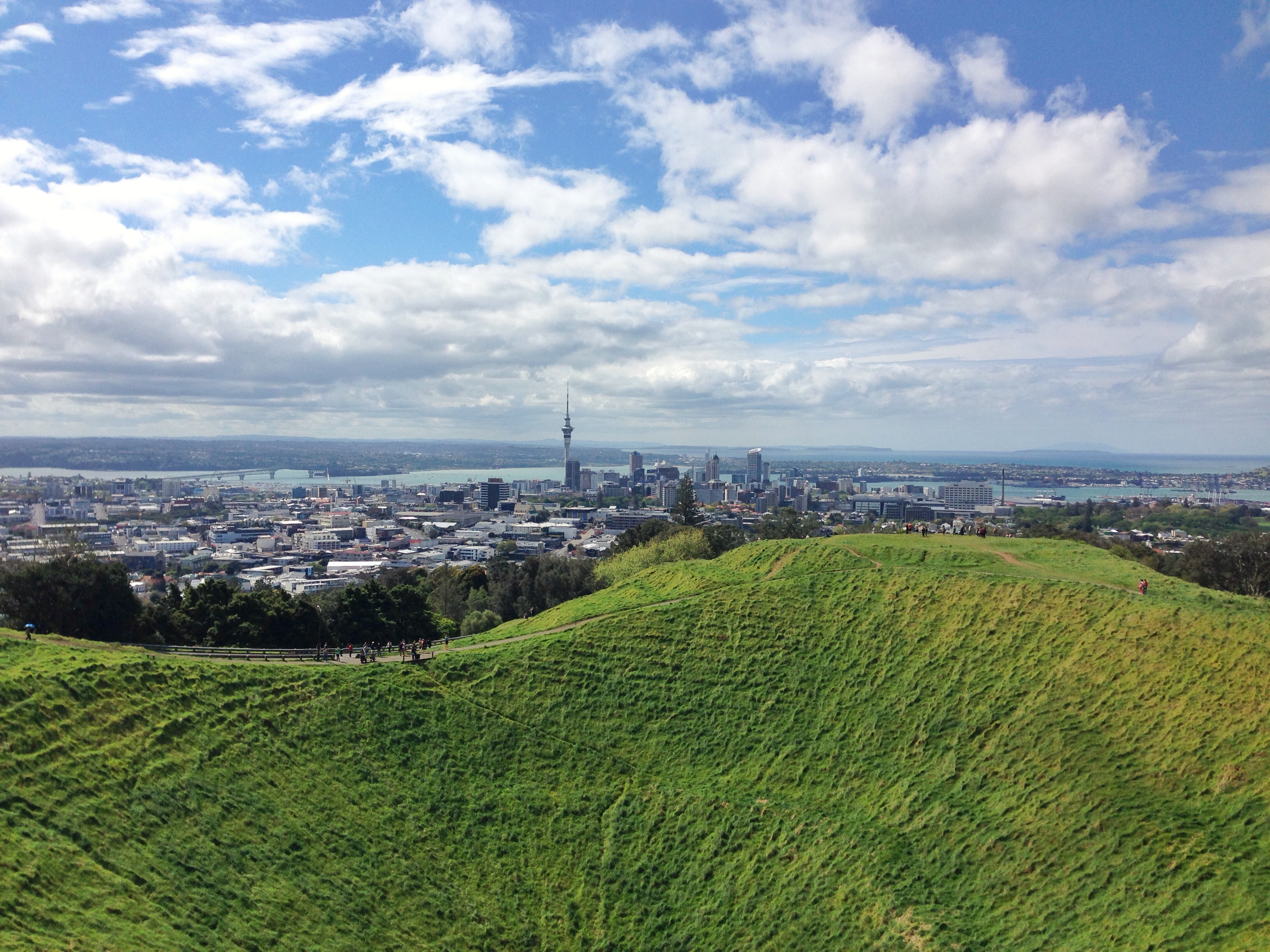 Auckland Image 6